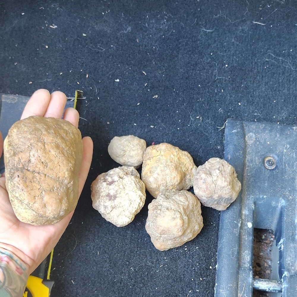 Geodes - Picture 4 of 5